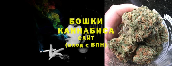 PSILOCYBIN Балабаново