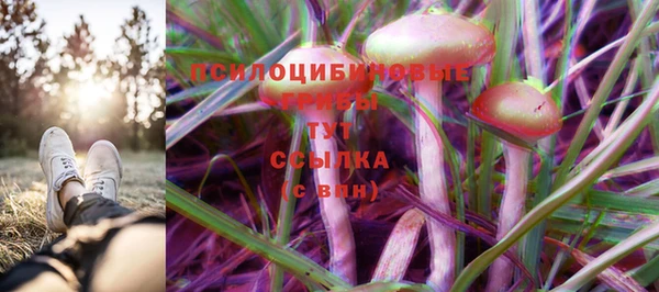 PSILOCYBIN Балабаново