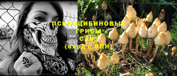 прущий лед Арсеньев