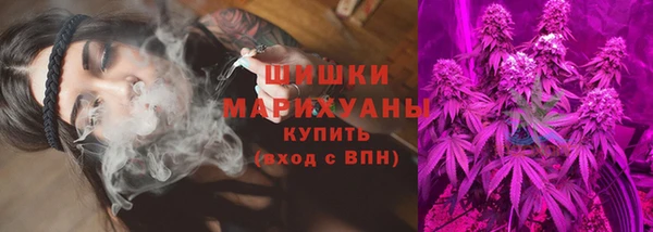 PSILOCYBIN Балабаново