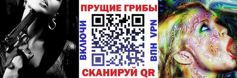 Галлюциногенные грибы Magic Shrooms  Купить  Киселёвск 